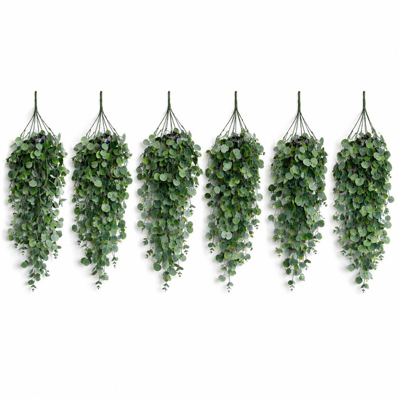 75 Plant, 6