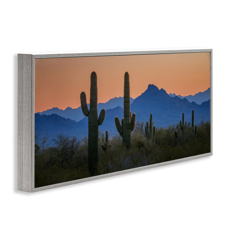 Contrast Desert Sunset, art de la giclée encadrée par Marty Hulsebos, H 10 po x l 24 po, Estampe numérique Farmhouse