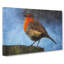 Robin Bird Vol.2 - Wrapped Canvas-61845305