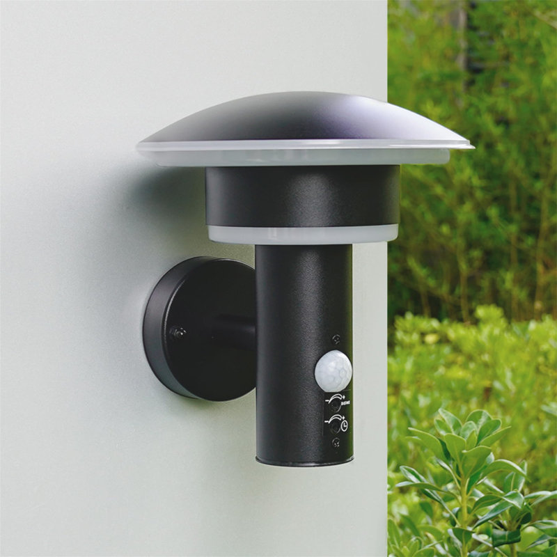 Outdoor Sconce, Matte Black