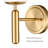 Alderico Iron Armed Sconce