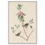 Mountain Laurel, reproduction d'art sur toile par Art Remedy-118171901-118171904