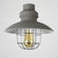 Penglai 26.5cm H Metal Novelty Pendant Shade ( Spider )-28711939-28711937