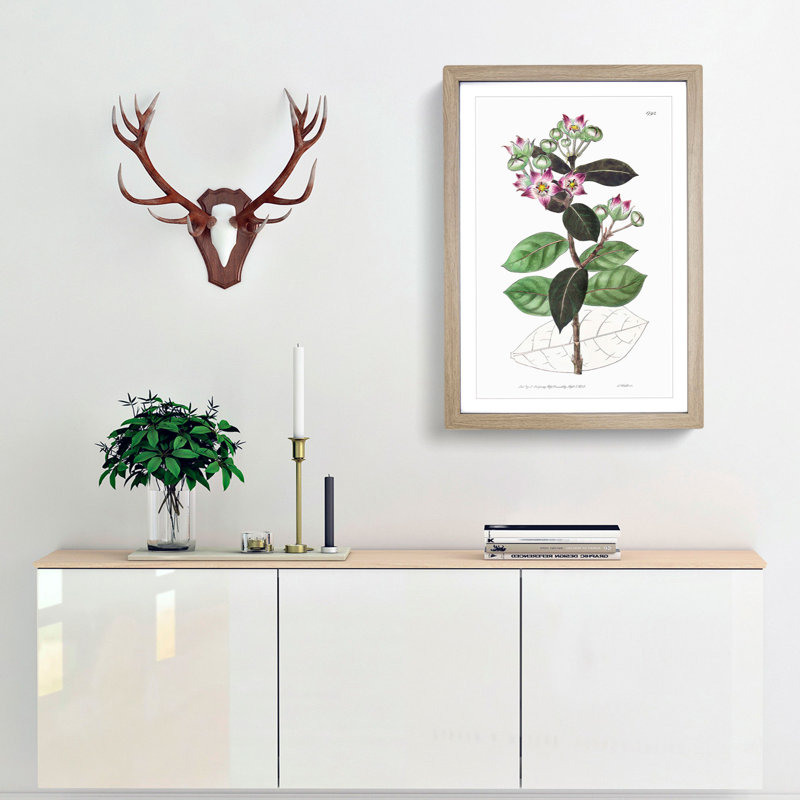 Milkweed Flowers - Picture Frame Painting Print, 65cm H x 48cm W x 2cm D, Oak Framed