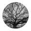 Tree Of Wisdom Print-24074684
