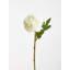 Fiori Chrysanthemum Arrangement