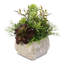 Faux Succulent Plant in Cement Pot