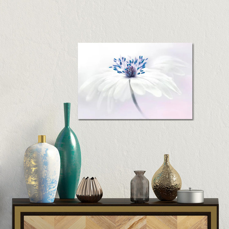 Anemone Blanda- Gallery-Wrapped Canvas Giclée, 12" H x 18" W