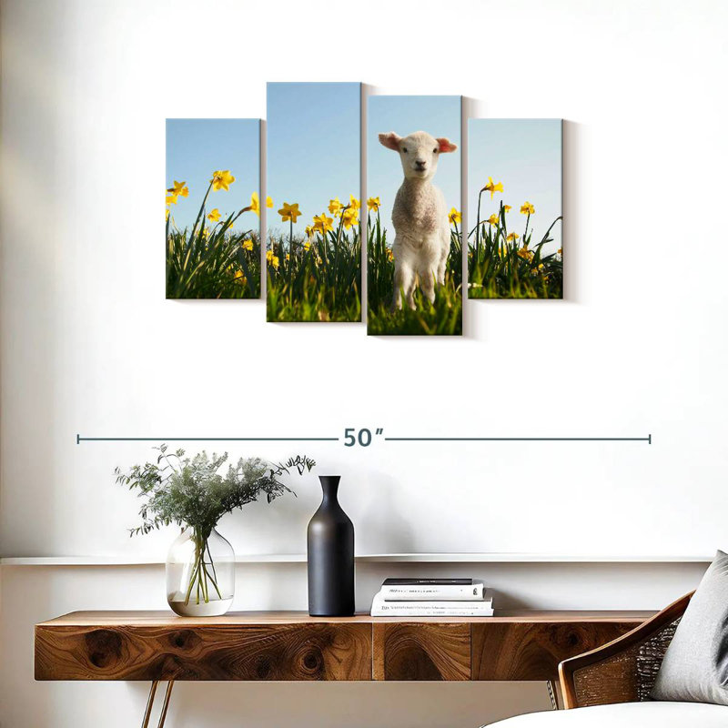 Mouflon dans la prairie