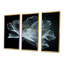 Burlington - Autres plantes et fleurs, ensemble d'art mural-108456514-108456515