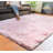 Indoor Rug