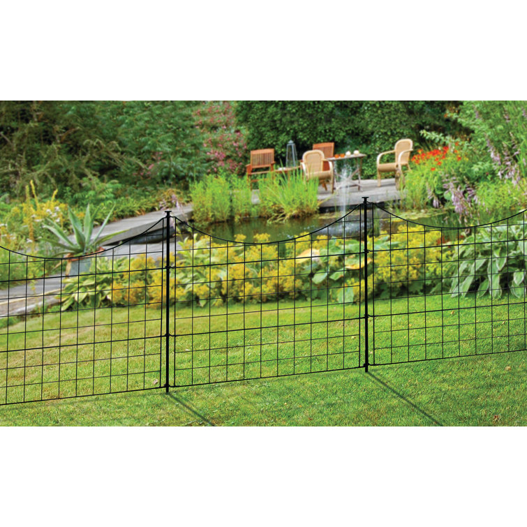  Zippity Outdoor Products WF29001 25 in H No Dig Decorative  Metal Pet Easy Install Dog Fence For Yard, Wire Garden Border, (5 Panels,  Black) : Clothing, Shoes & Jewelry