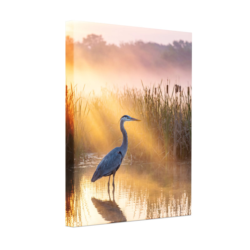 Animaux, lumière dorée, héron, marais, lever du soleil, reflets, nature, scène paisible, H 36 po x l 24 po