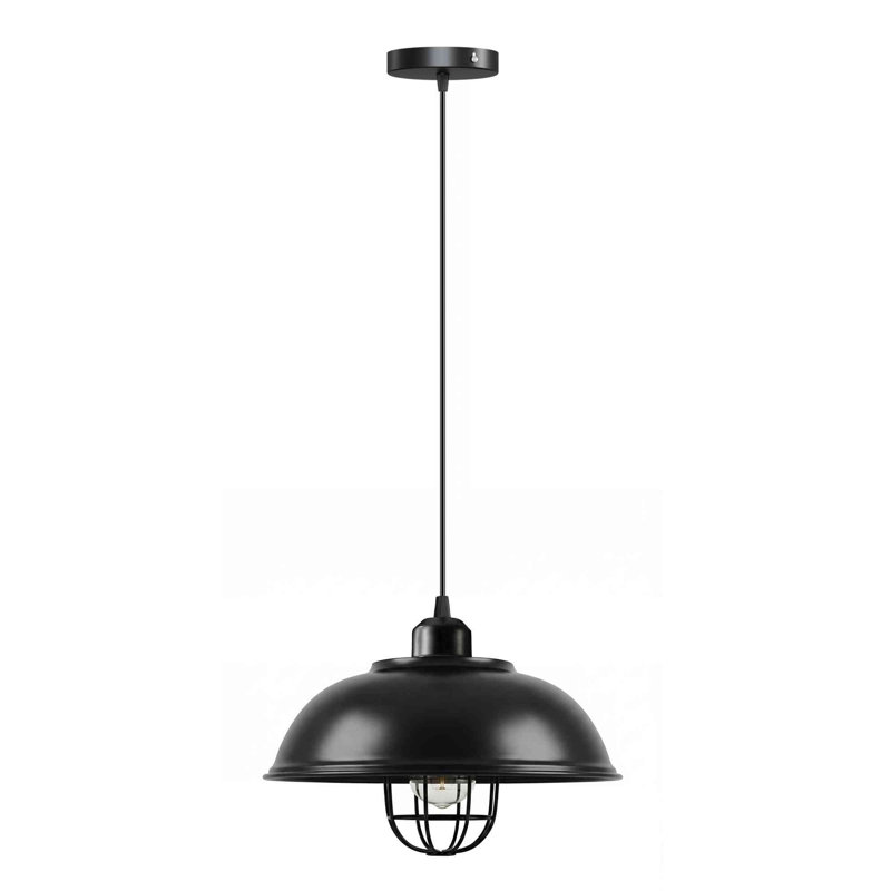 1 - Light Black Caged Pendant, No