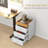 3 Drawer Home Office Storage Cabinet, Office Drawer On Wheels With Removable Tray, Under Desk Printer Stand With Storage (Cabinet)-24490949