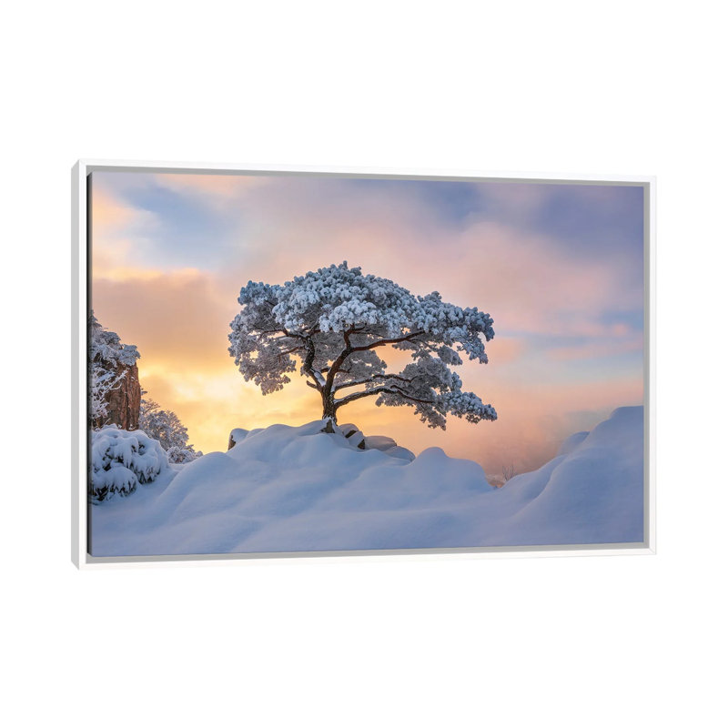 Cold Loner by Jaeyoun Ryu - Floater Frame Print on Canvas, 101.6 cm H x 66.04 cm W, White