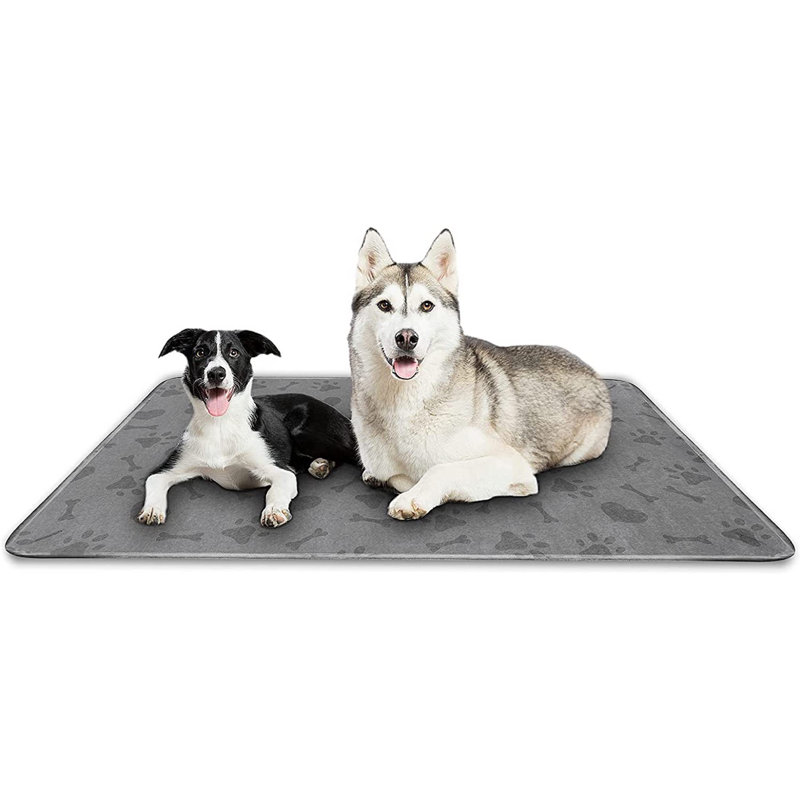 Couverture pour chien légère et imperméable Paw, 82 po x 52 po, Gris