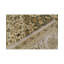 Lamani Wool Oriental Area Rug