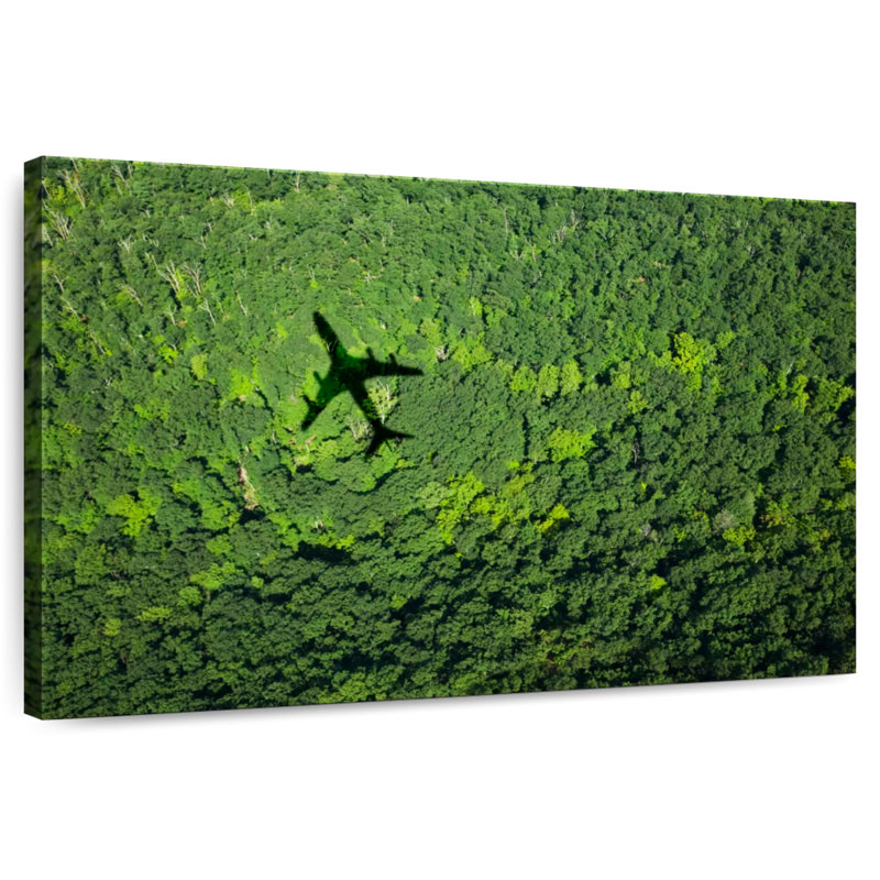 Mehar avion au-dessus de la forêt, H 16 po x l 24 po