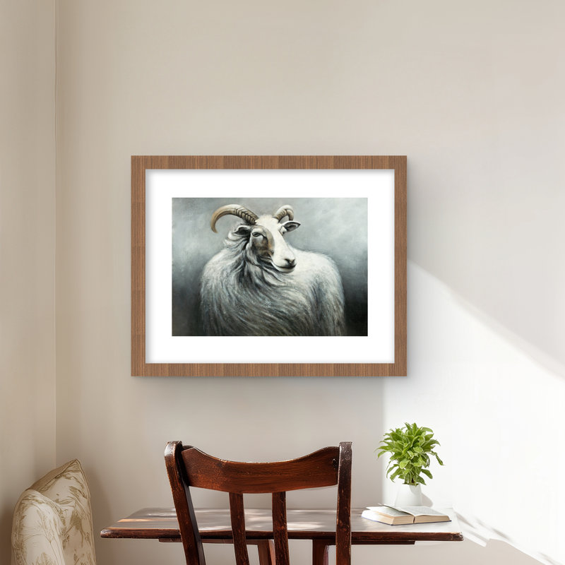 Cashmere Goat - White Rustic Framed Matted Print for Decor