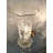 Winter Candle Wall Light