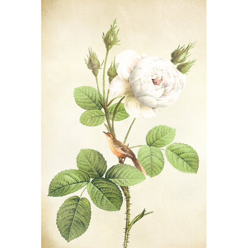 Bird On White Flower Botanical 2 - Wrapped Canvas Painting, 46cm H x 30cm W x 3.8cm D