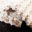 Tapis blanc / beige en acrylique Delane-1175698933
