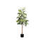 Arbre à caoutchouc artificiel Jack 52 po, feuilles vertes en soie avec pot noir