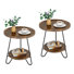 Geneane Tray Top End Table Set