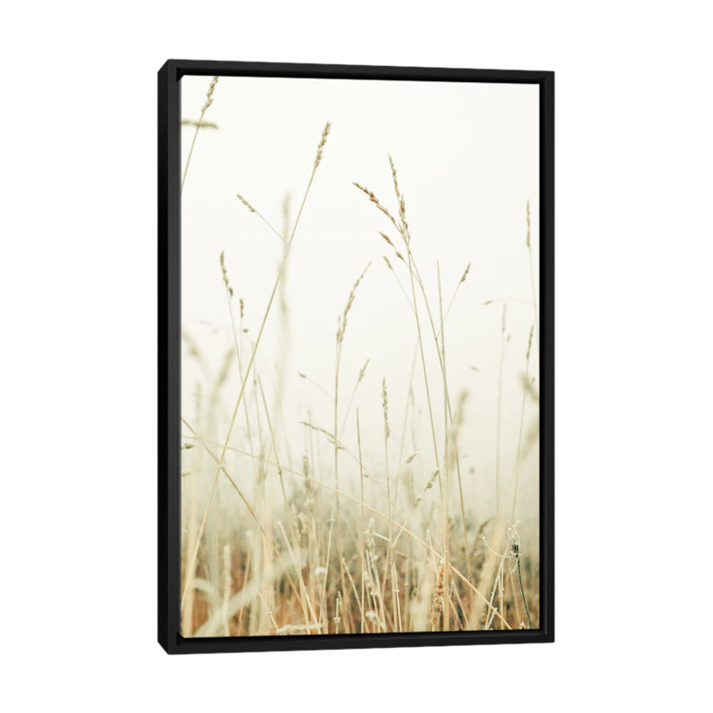 Winter Field II by Olivia Joy StClaire - Print on Canvas