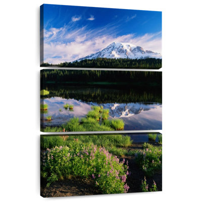 Alvord Mt. Rainier Spring Meadows