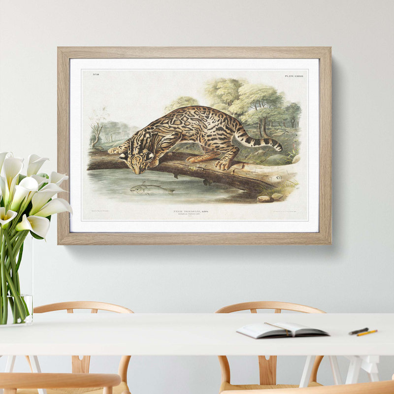 Leopard-Cat by J.W. Audubon - Picture Frame Painting Print, 27cm H x 36cm W x 2cm D, Oak Framed