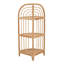 Bourbeau 46cm W Rattan Shelving Unit