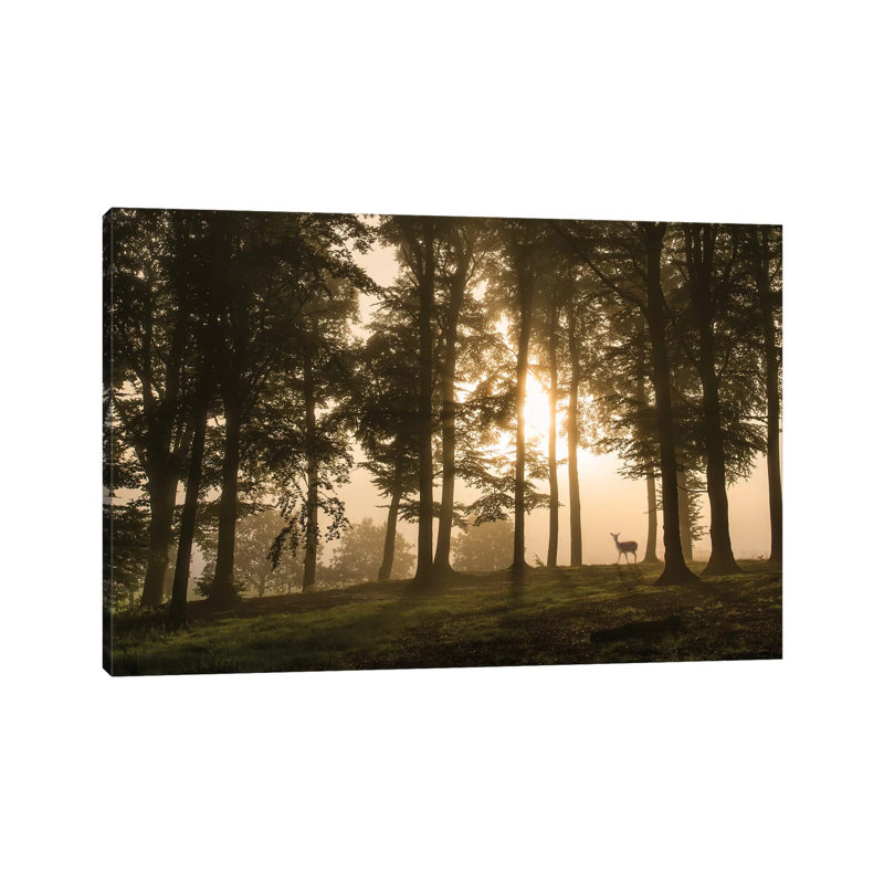 Deer In The Morning Mist. by Leif Londal - Print on Canvas, 45.72cm H x 66.04cm W x 3.81cm D, Wrapped Canvas