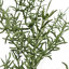 Plantes suspendues artificielles S / 6, fausse verdure en cascade, 35 pouces de long, décor botanique en plastique