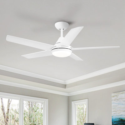 Ventilateur de plafond à DEL 47,96 po avec télécommande et ensemble d'éclairage inclus