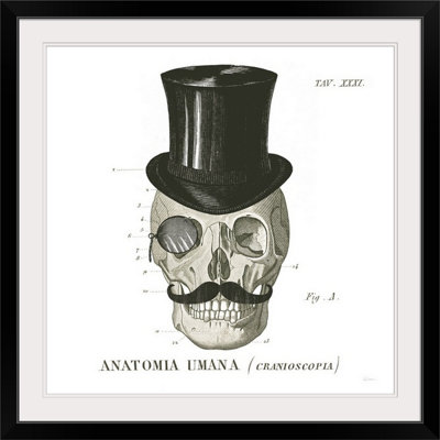« dandy os i » par sue schlabach, impression