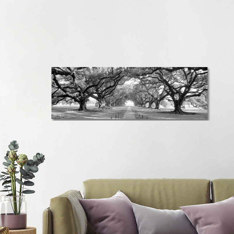 Brick Path Through Alley of Oak Trees, Louisiana, New Orleans, USA 1 Piece Wrapped Canvas Panoramic Wall Art