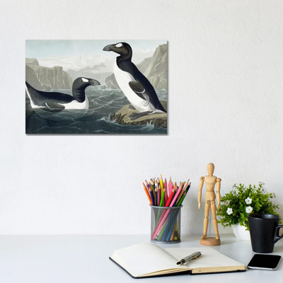 Great Auk, 1836 by John James Audubon - Wrapped Canvas Gallery-Wrapped Canvas Giclée