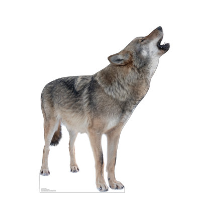 Loup Hurlant