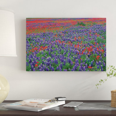 " Sand Bluebonnet And Paintbrush Flowers, Hill Country, Texas I " by Tim Fitzharris
