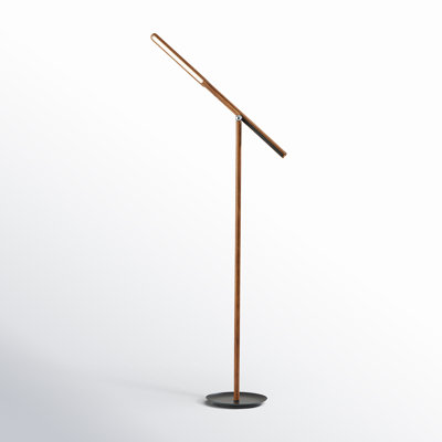 Dris 54'' Dimmable LED Floor Lamp