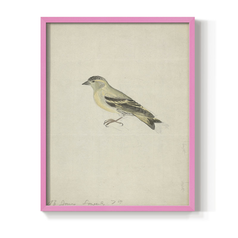 «Ximal Vintage Print», reproduction encadrée en bois massif, H 30 po x l 24 po, Rose