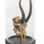 Goat Skull with Bel Glass Sculpture