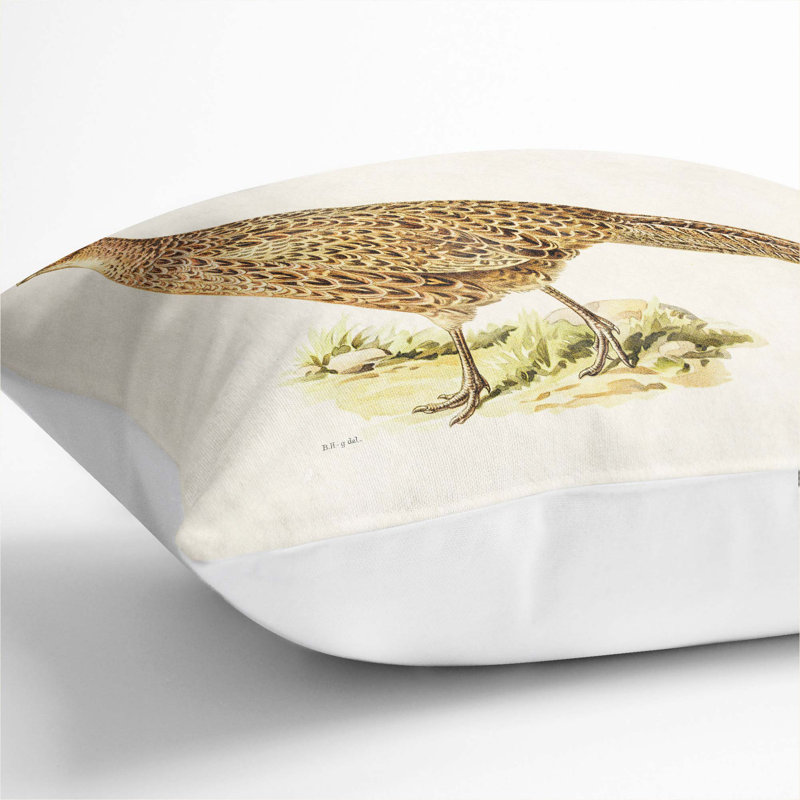Pheasant by Von Wright Cushion with Filling, White, 55cm H x 55cm W x 20cm D
