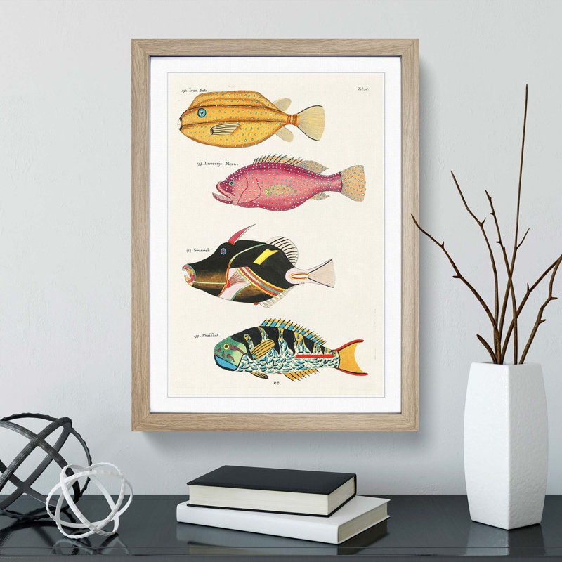 East Indies Fish Illustrations Fol. 28 by Louis Renard - Picture Frame Painting Print, 36cm H x 27cm W x 2cm D, Oak Framed