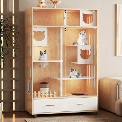 Maison pour chat en bois massif avec revêtement transparent et bac à litière