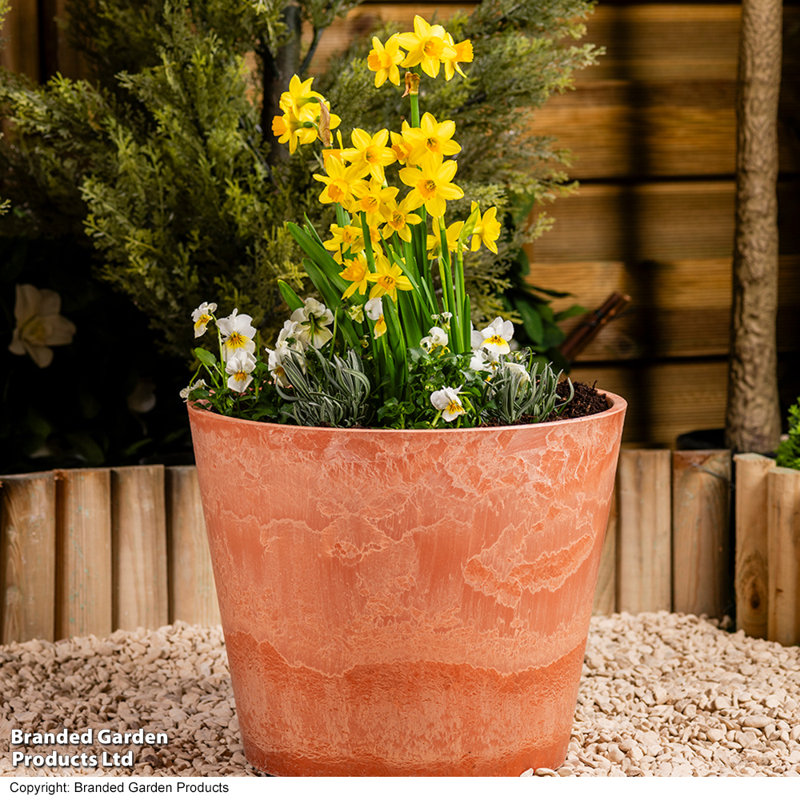 Pot Planter, 34.5cm H x 41cm W x 41cm D, Orange