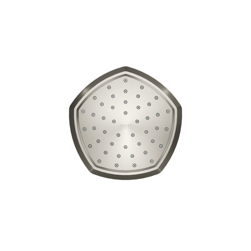 Occasion Single-Function Showerhead, Vibrant Polished Nickel