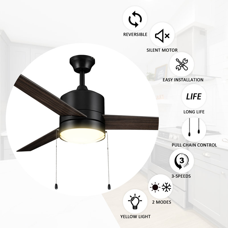 Derryhirk 52'' Ceiling Fan with LED Lights, Black